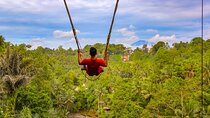 Swing & Swim at D’tukad Blangsinga and Ubud Temple Tour