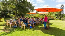 Kaimbethu Tea Farm Tour and Lunch Package