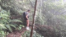 Full-Day Private Guided Hiking Tour of Ba Vi National Park