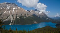 Full Day Tour-Moraine Lake, Lake Louise, Peyto Lake,...