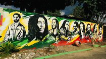 Bob Marley Private Tour from Montego Bay 