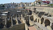 Half Day Excursion to Herculaneum from Naples with Lunch