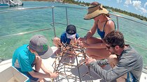 Snorkel Lovers for All Ages & Premium Seafood Lunch in Punta Cana