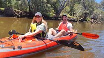 Mandoon Winery and Kayak Tour with wine tasting
