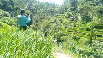 Best Of Ubud Scenic Full Day Private Guided Tour