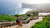 Full Day Cape Peninsula Tour