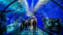 Hurghada Grand Aquarium Tour with Skip the Line Ticket 