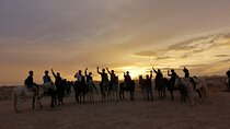 Cappadocia Horse Back Riding Sunset Tours