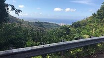 Easy Private Hike in Honolulu (Choose 1 of 2 trails) 2-4hrs 