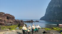 Private Tour Woman Diver Performance & stone park in Jeju Island