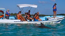 Sian Ka'an Boat Experience from Riviera Maya to Tulum