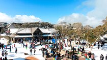 Mount Buller 1 Day Guided Tour