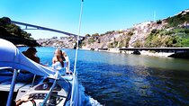 Private Tour of the Bridges and Douro River 2h, group price up to 6px