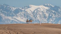 Agafay Camel Ride & Ourika Valley in Atlas mountains