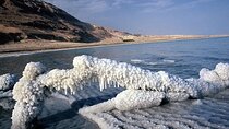 Half Day Tour to the Dead Sea