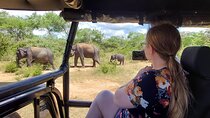 All Inclusive Udawalawe National Park Safari Day Tour from Colombo and Negombo