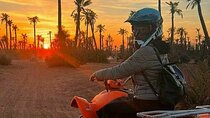 Quad ride in the Palmeraie Marrakech