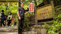 Arashiyama Hidden Gems: Walking Tour escaping crowds