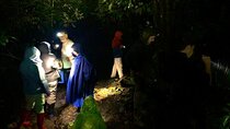Sarapiqui Rainforest Night Walk : Wildlife & Adventure.