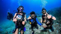 3 Day Scuba Diving Experience with 4 Immersion Courses