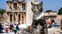 Private Ephesus Tour from Kusadasi 