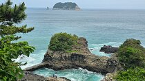 Small group Private Day Tour - South of Jeju Island