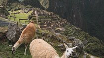 Full Day Tour to Machu Picchu