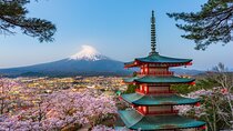 Mt. Fuji or Hakone Private Sightseeing Day Trip From Tokyo