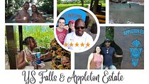 Private Tour Appleton Estate, YS Falls from Montego Bay