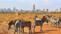 Private Nairobi National Park Day Tour 