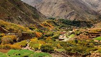 Camel Ride Day On Atlas Mountains And Three Valleys & Waterfalls