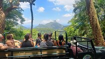 Half-Day Jeep Tour in Rio's Tijuca Rainforest and Scenic