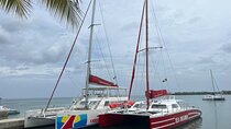 Bamboo Rafting, Catamaran Party Boat & Snorkeling In Montego Bay