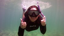 Guided Snorkel Experience in Fort Lauderdale