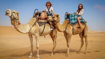 30 Minutes Camel Ride and 30 Quad Bike in Dubai