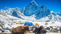 Everest Base Camp Trek 14 days With Expedia Holiday 