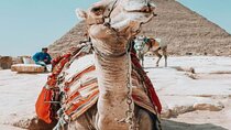 Discover the Treasures of Cairo: Small Group Tour from Hurghada