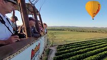 Cairns Classic Hot Air Balloon ride