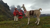 4D3N llama trek to machu picchu & sacred valley journeys 