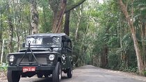 Jeep Tour Botanical Garden and Tijuca Rainforest with Tickets