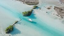 Full-Day Guided Tour in Bacalar: The Lagoon of Seven Colors