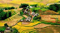 Sapa 3 Days Trekking Tour ( Overnight Train + Homestay + Hotel )