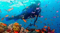 Half Day Guided Snorkeling in Negombo