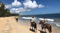 Macao Beach Horseback Ride from Punta Cana