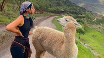 Sacred Valley of the Incas Tour in 1 Day
