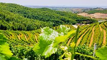 Vineyards, Albanian Wine Tasting & Boat Tour from Durres