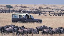 6 Days Wildlife and Cultural Experience Safari in Tanzania