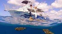 Waikiki Turtle Canyon Snorkeling Tour with Hula Show