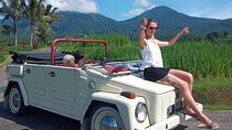 VW Safari Bali Tour: UNESCO World Heritage Sites in Bali