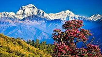 Private 10 Days Tour Package in Nepal